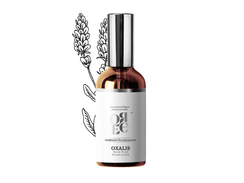 OXALIS Boost floral